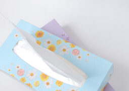 トイレにティッシュを流してもいい？詰まる理由や流してしまった際の対処法