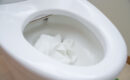 トイレ詰まりはお湯で直せる？正しい対処法や注意点を解説