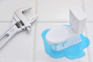 トイレトラブルの主な症状と対処法