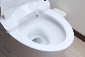 バリウム便がトイレで流れない原因
