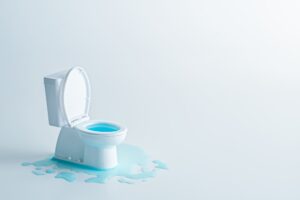トイレの水漏れがたまに発生する場合