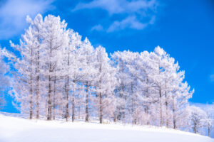 水道管が凍結しやすくなる条件