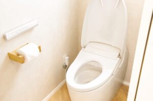 トイレ詰まりは原因別に対処することが大切